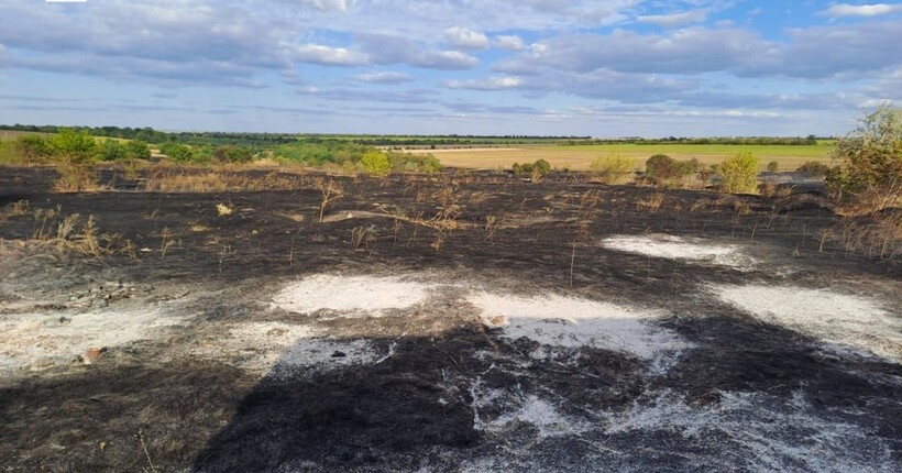 Надзвичайники ліквідували 22 пожежі в Запорізькій області: загинула людина