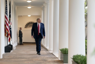 Зеленський може миттєво припинити війну - Трамп 