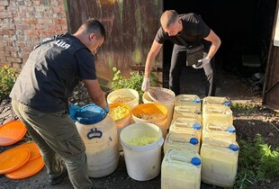 Нацполіція вилучила наркотиків на 2 млрд грн: викрито потужне наркоугруповання 