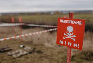 Понад 280 гектарів території Харківської області розміновано за тиждень - ОВА