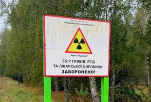На Житомирщині незаконно використовували майже 1800 га радіоактивних земель: деталі