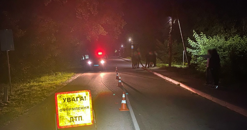 У Житомирі розшукують водія, який збив 11-річну дівчинку та втік з місця ДТП