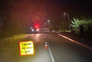 У Житомирі розшукують водія, який збив 11-річну дівчинку та втік з місця ДТП