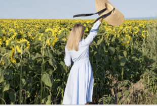 Україну накриє спека до +33°C у останні дні серпня 