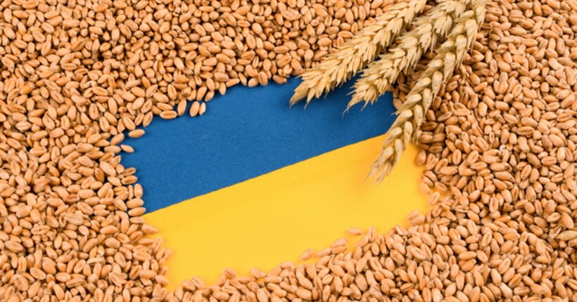 Цього року вже зібрано понад 21,8 млн тонн пшениці, ми виходимо на показники минулого року - Марчук 