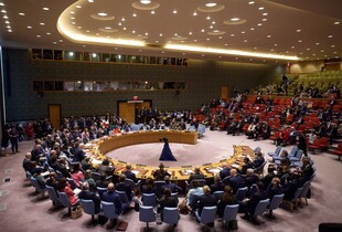 Радбез ООН проведе засідання через заліт дронів рф у Польщу