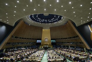 Генасамблея ООН підтримала створення держави Палестина