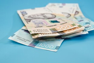 Базова соціальна допомога замість інших виплат: які умови зараз і що пропонують змінити