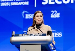 Литва натякнула, як діяти проти літаків рф над країнами НАТО: Туреччина подала приклад ще в 2015 році