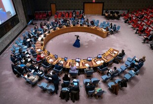 Радбез ООН проведе екстрене засідання через порушення повітряного простору Естонії