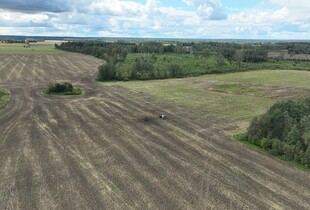 У Польщі знайшли уламки двох російських БпЛА
