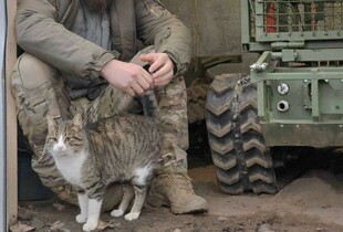 Від початку доби зафіксовано 78 бойових зіткнень - Генштаб