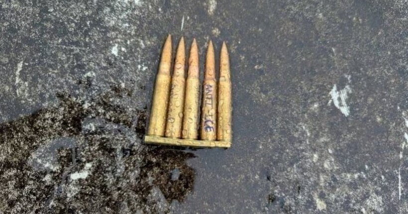 У Далласі стрілець відкрив вогонь по офісу Імміграційної та митної служби: деталі