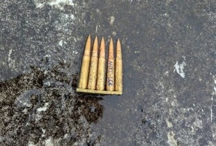 У Далласі стрілець відкрив вогонь по офісу Імміграційної та митної служби: деталі