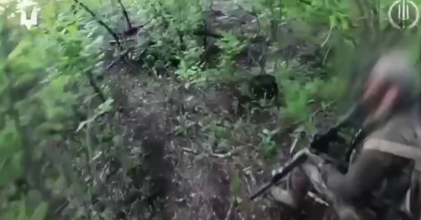 Бійці ССО вибили окупантів з лісосмуги на Донеччині (відео)