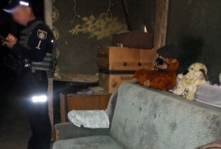 У Житомирі затримали 48-річного стрільця, який напередодні поранив чоловіка
