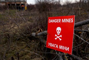 За тиждень на Харківщині розмінували понад 263 га території: Синєгубов розповів деталі