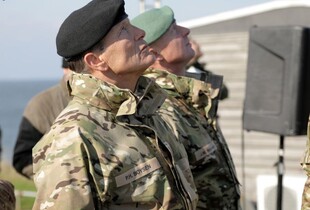 В Генштабі показали, як українські військові збивали дрони у Данії