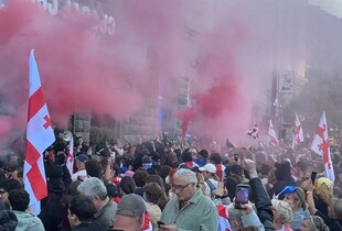 Протести в Грузії після виборів: протестувальники зламали ворота президентського палацу (відео)