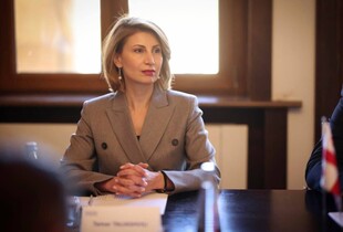 Держдеп викликав посла Грузії в США через заяви про 