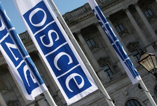 ОБСЄ відреагувала на вбивство росією французького журналіста на Донеччині