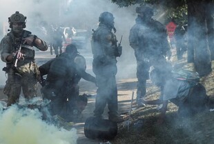 Сутички в Чикаго: прикордонники США поранили озброєну жінку