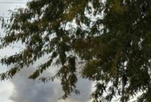 У Запоріжжі вибухи пролунали у декількох районах: росіяни вдарили по підприємству