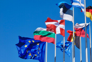 Лідери партій ЄС не можуть змусити себе ухвалювати антикризові рішення, тому вони й програють вибори - Подоляк