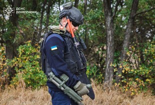 На Донеччині сапери знищили 31 вибухонебезпечний предмет за добу