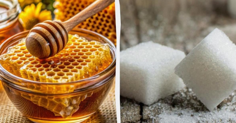 Мед корисніший? Чи справді цим продуктом можна повністю замінити цукор 