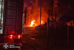 Вогнеборці ліквідували шість пожеж на Донеччині (фото)