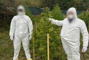 Поліцейського підозрюють у хабарі $10000 за 