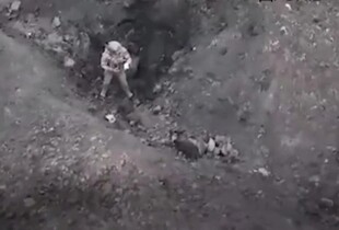 В підрозділі 