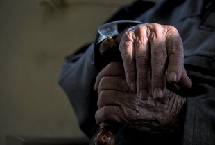 Вчені назвали вік, у якому мозок досягає піку розумових здібностей