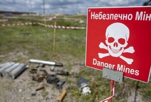 Майже 223 га території Харківщини вдалося розмінувати за тиждень - Синєгубов