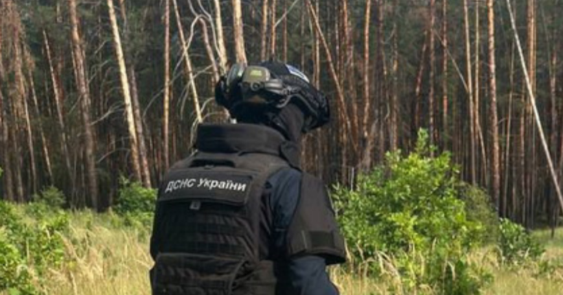 На Житомирщині рятувальники звільнили чоловіка, який застряг ногою в кладці через річку