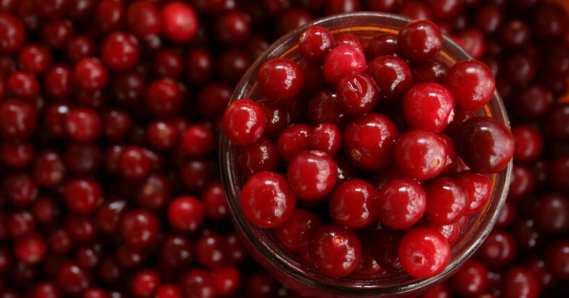 Як зберегти журавлину на зиму: найкращі способи збереження користі та смаку