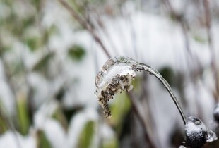 У Києві та області на 20 жовтня передають дощі з мокрим снігом: деталі