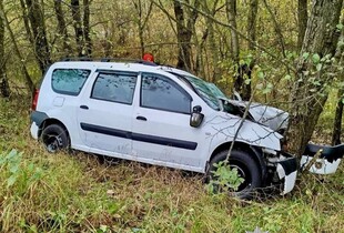 На Житомирщині сталась смертельна ДТП: водій загинув після зіткнення з деревом