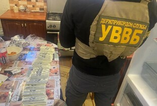 На Закарпатті вдалося ліквідувати канал переправлення чоловіків через українсько-румунський кордон