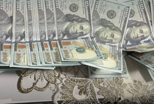 На Закарпатті прикордонники затримали адвоката, який організував незаконне переправлення українця до Угорщини