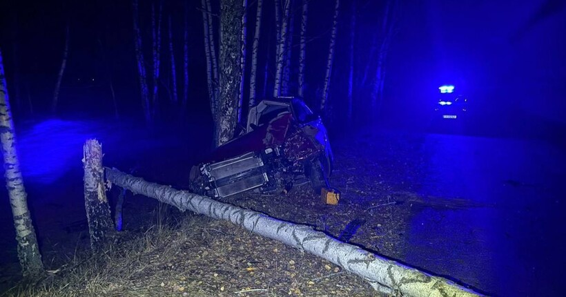 Влетів у дерево: поліція розслідує обставини ДТП на Житомирщині (фото)