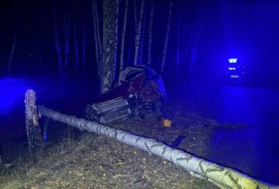Влетів у дерево: поліція розслідує обставини ДТП на Житомирщині (фото)
