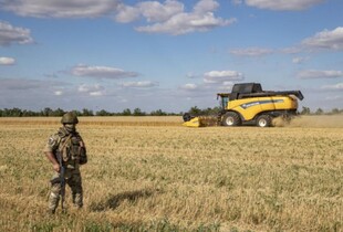 Викрали українського зерна на 23 млрд грн: заступнику міністра сільського господарства рф оголосили підозру