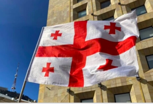 ПАРЄ попередила про загрозу однопартійної диктатури в Грузії через заборону опозиції