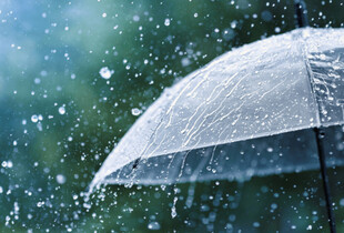 В Україну прийшли дощі: прогноз погоди на 29 жовтня