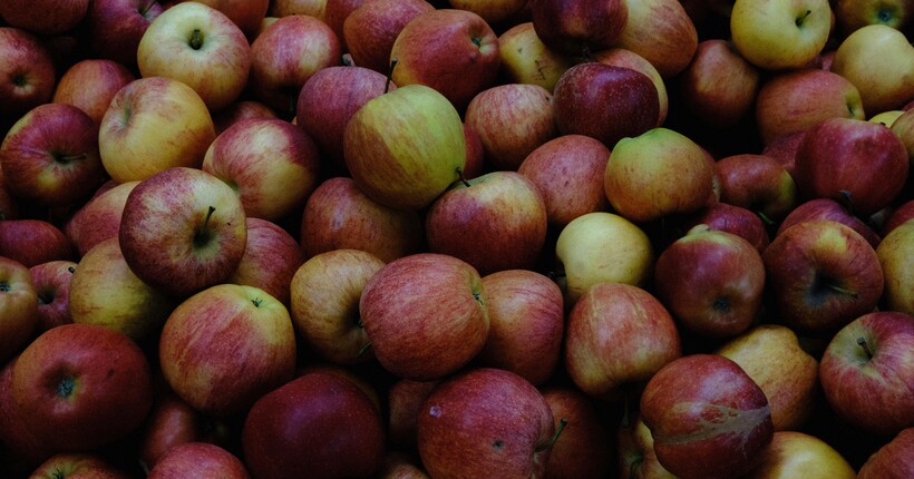 Яблука в сховищі гниють — що робити і як зупинити процес