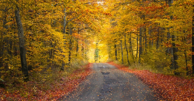 Синоптикиня розповіла, якою буде погода в останній день жовтня: прогноз погоди