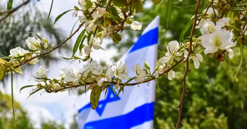 У Києві висадили дерева до єврейського свята Ту бі-Шват