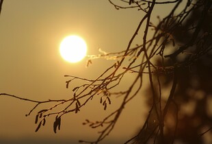 Синоптикиня розповіла, що очікувати від погоди в Україні в перші дні листопада